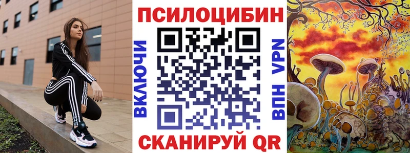 Купить где  Темников  Галлюциногенные грибы Psilocybe 