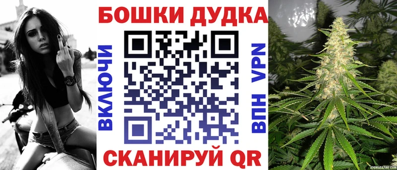 Купить  Темников  Бошки Шишки сатива 